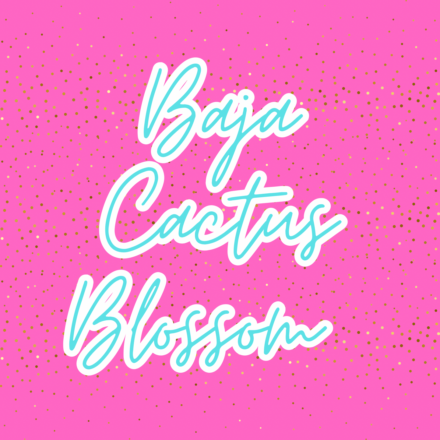 Baja Cactus Blossom