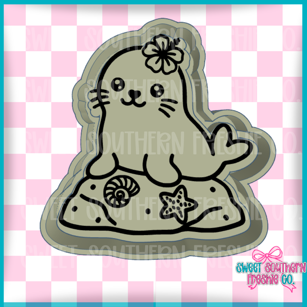 Seal on rock