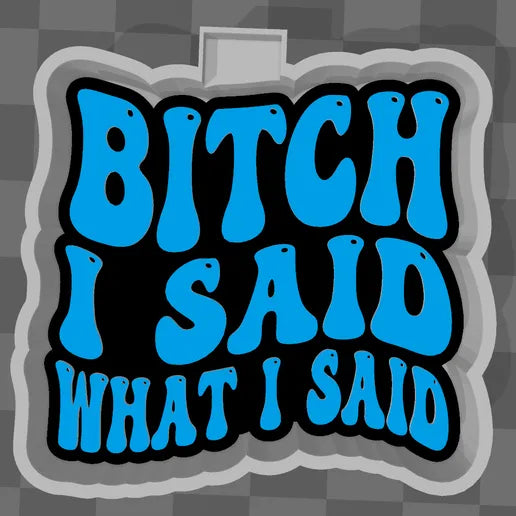 Bitch I said what I said