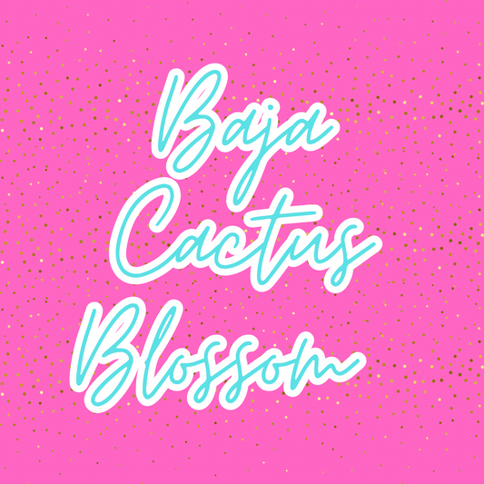 Baja Cactus Blossom