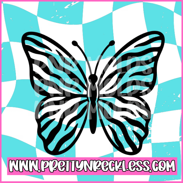Zebra Butterfly