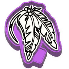 Tribal feathers